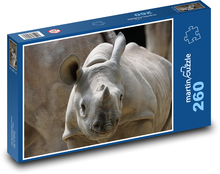 Nashorn - Jungtier, Zoo Puzzle 260 Teile - 41 x28,7 cm