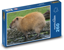 Kapibara - gryzoń, zwierzę Puzzle 260 elementów - 41x28,7 cm