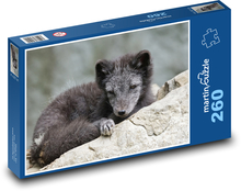 Polární liška - dravec, zvíře Puzzle 260 dílků - 41 x 28,7 cm