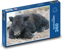Yak - domáce zviera, teľa Puzzle 260 dielikov - 41 x 28,7 cm 