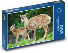Muflon - cielę, młode Puzzle 260 elementów - 41x28,7 cm