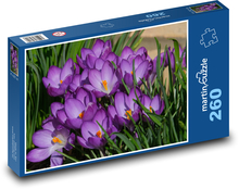 Crocus - flower, spring Puzzle 260 pieces - 41 x 28.7 cm 