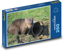 Wombat - zviera, zoo Puzzle 260 dielikov - 41 x 28,7 cm 
