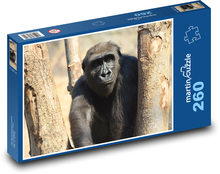 Gorila - zvíře, opice Puzzle 260 dílků - 41 x 28,7 cm