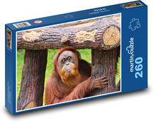 Orangurtan - monkey, animal Puzzle 260 pieces - 41 x 28.7 cm 