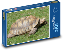 Turtle - reptile, animal Puzzle 260 pieces - 41 x 28.7 cm