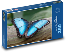 Morpho motýl - modrý motýl, hmyz Puzzle 260 dílků - 41 x 28,7 cm