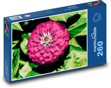 Lila Dahlie - Blume, Garten Puzzle 260 Teile - 41 x28,7 cm