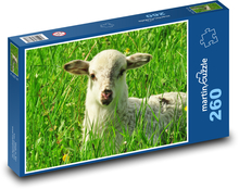 Lamm - Schaf, Wiese Puzzle 260 Teile - 41 x28,7 cm
