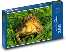 Kröte - Frosch, Amphibie Puzzle 260 Teile - 41 x28,7 cm