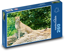 Gepard - zvíře, šelma Puzzle 260 dílků - 41 x 28,7 cm