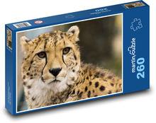 Gepard - divoké zvíře, zoo Puzzle 260 dílků - 41 x 28,7 cm