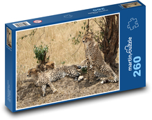Cheetah - savanna, Safari Puzzle 260 pieces - 41 x 28.7 cm 