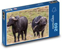 Buffalo - animal. Africa Puzzle 260 pieces - 41 x 28.7 cm 