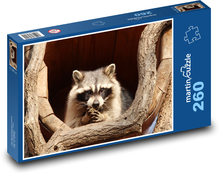 Waschbär - Säugetier, Tier Puzzle 260 Teile - 41 x28,7 cm