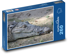 Crocodile - animal, reptile Puzzle 260 pieces - 41 x 28.7 cm 