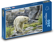 Ľadový medveď - zoo, zviera Puzzle 260 dielikov - 41 x 28,7 cm 