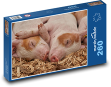 Sleeping piglets - domestic pig, farm Puzzle 260 pieces - 41 x 28.7 cm 