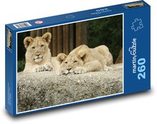 Mláďa leva - dvojčatá, zvieratá Puzzle 260 dielikov - 41 x 28,7 cm 
