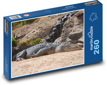 Krokodýl - spící na pláži Puzzle 260 dílků - 41 x 28,7 cm