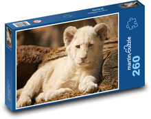Lev - mládě, zvíře Puzzle 260 dílků - 41 x 28,7 cm