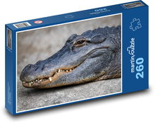 Aligátor - krokodýl, plaz Puzzle 260 dílků - 41 x 28,7 cm