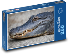 Aligátor - krokodíl, plaz Puzzle 260 dielikov - 41 x 28,7 cm 