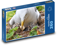 Seagull - bird, chicken Puzzle 260 pieces - 41 x 28.7 cm 