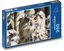Sova - vták, oči Puzzle 260 dielikov - 41 x 28,7 cm 