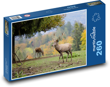 Nature - deer, animal Puzzle 260 pieces - 41 x 28.7 cm 