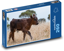 Calf - cow, animal Puzzle 260 pieces - 41 x 28.7 cm 