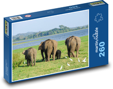 Slon indický - Srí Lanka, zviera Puzzle 260 dielikov - 41 x 28,7 cm 