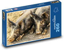 Świnie - prosięta, zwierzęta hodowlane Puzzle 260 elementów - 41x28,7 cm
