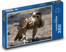 Myszołów - ptak, drapieżnik Puzzle 260 elementów - 41x28,7 cm