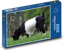 Goat - animal, mammal Puzzle 260 pieces - 41 x 28.7 cm 