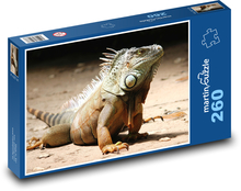 Leguán - plaz, jašterica Puzzle 260 dielikov - 41 x 28,7 cm