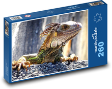 Iguana - lizard, wild game Puzzle 260 pieces - 41 x 28.7 cm 