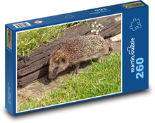 Hedgehog - animal, garden Puzzle 260 pieces - 41 x 28.7 cm 