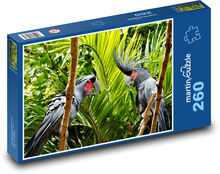 Kakadu - ptáci, zvířata Puzzle 260 dílků - 41 x 28,7 cm