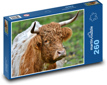 Krowa - rogi, ssak Puzzle 260 elementów - 41x28,7 cm