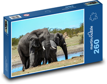 Elephants - African elephant, animal Puzzle 260 pieces - 41 x 28.7 cm 