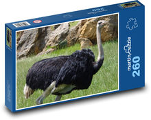 Strauß - Vogel, Tier Puzzle 260 Teile - 41 x28,7 cm