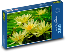 Żółta lilia wodna - oczko wodne, kwiat wodny Puzzle 260 elementów - 41x28,7 cm