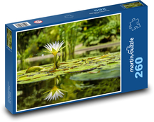 Weiße Seerose - Reflexion im Wasser, Teich Puzzle 260 Teile - 41 x28,7 cm