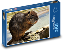 Nutrie - animal, water rat Puzzle 260 pieces - 41 x 28.7 cm 