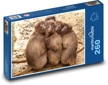 Paviáni - opice, zvířata Puzzle 260 dílků - 41 x 28,7 cm