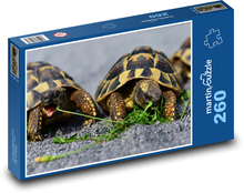 Turtles - reptile, animal Puzzle 260 pieces - 41 x 28.7 cm 