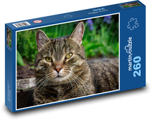 Mačka - domáci maznáčik, zviera Puzzle 260 dielikov - 41 x 28,7 cm