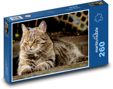 Kočka domácí  - mazlíček, zvíře Puzzle 260 dílků - 41 x 28,7 cm