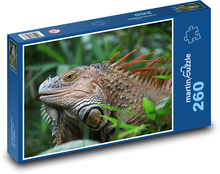 Leguán - plaz, Kostarika Puzzle 260 dílků - 41 x 28,7 cm